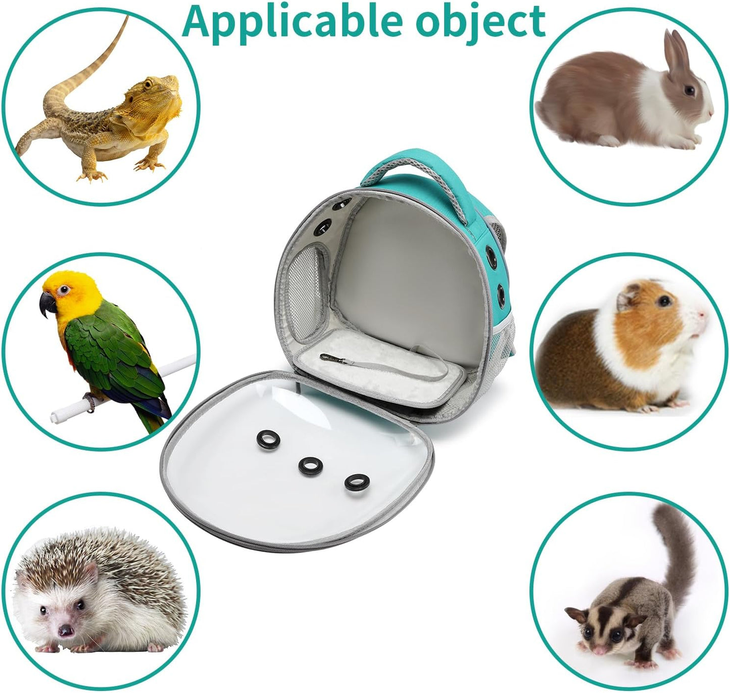 Panoramic Clear Pet Backpack, 30×21×32CM, Breathable Space Capsule Design, Universal for Cats & Dogs Portable Outdoor Bag (Mint Green)