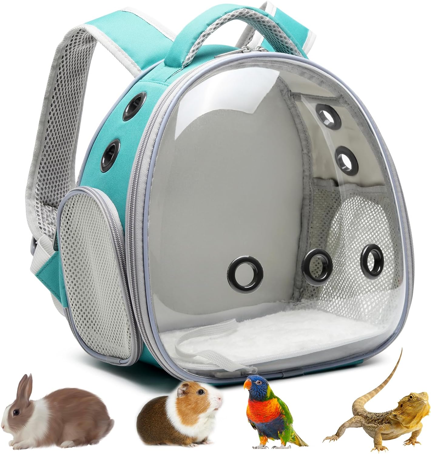 Panoramic Clear Pet Backpack, 30×21×32CM, Breathable Space Capsule Design, Universal for Cats & Dogs Portable Outdoor Bag (Mint Green)