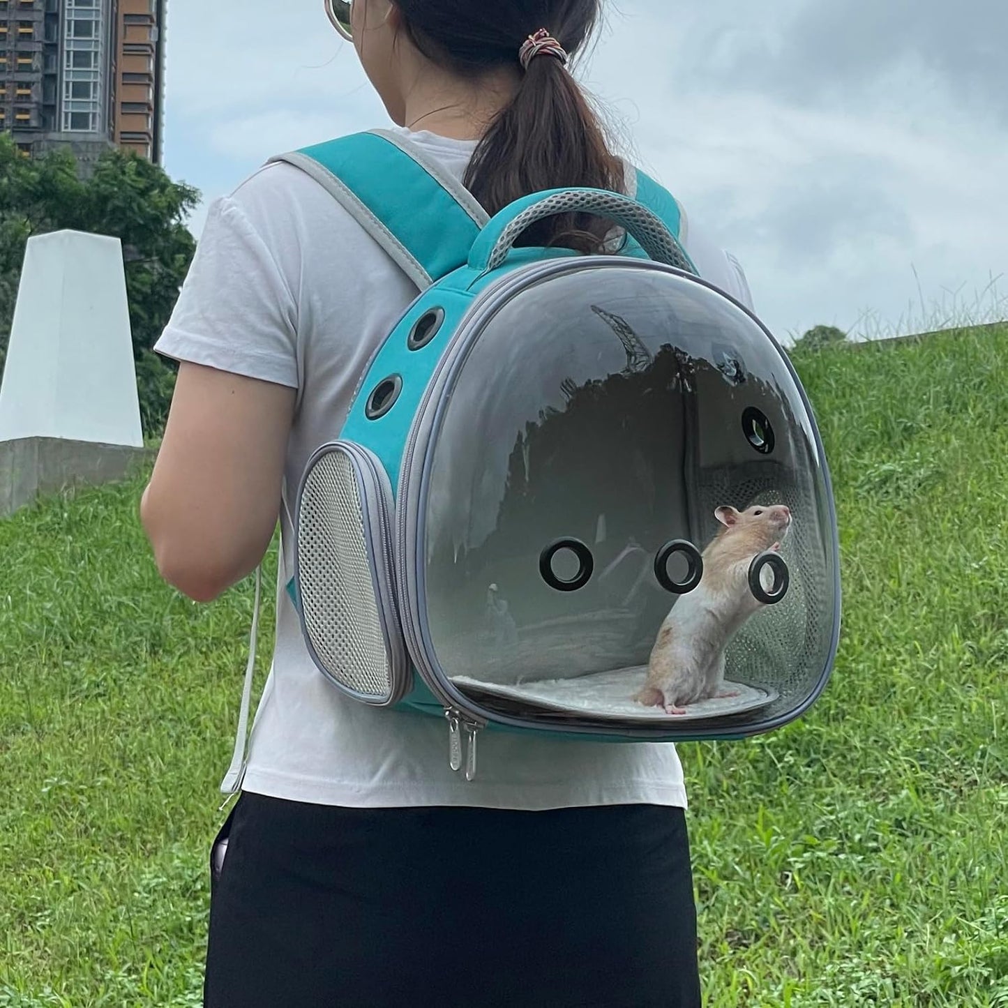 Panoramic Clear Pet Backpack, 30×21×32CM, Breathable Space Capsule Design, Universal for Cats & Dogs Portable Outdoor Bag (Mint Green)