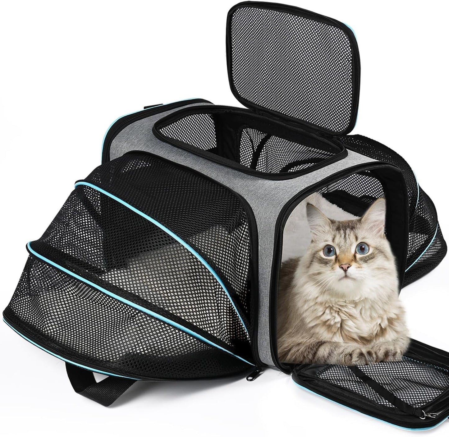Multi-Opening Portable Pet Travel Carrier, Foldable Breathable Handbag with Shoulder Strap for Cats, Small Dogs, and Small Animals